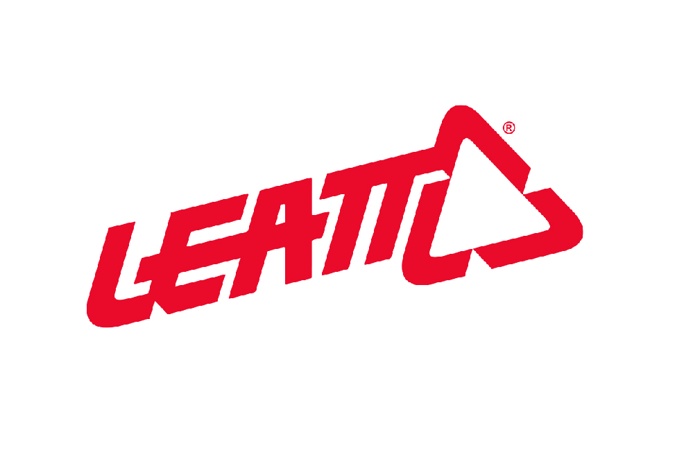 leatic logo full colour